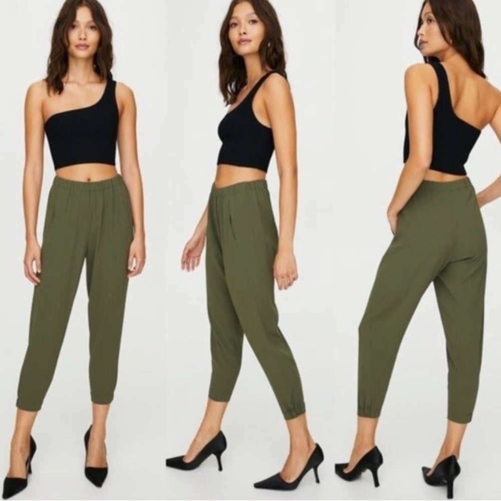 Aritzia Babaton dexter crop pants